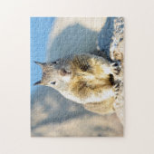 モントレー湾，カリフォルニア ジグソーパズル (縦)