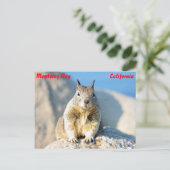 モントレー湾，カリフォルニア ポストカード (スタンド正面)