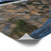 モントレー・シーグル ポスター (角)