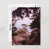 モントレー ポストカード (正面/裏面)