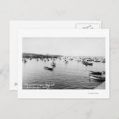 モントレー, CA - 何百もの木造船がある湾 ポストカード (正面/裏面)