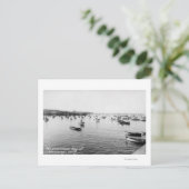 モントレー, CA - 何百もの木造船がある湾 ポストカード (スタンド正面)