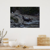 モントレ散水ホール ポスター (キッチン)