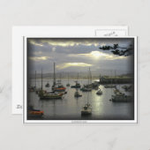 モントレ湾はがき ポストカード (正面/裏面)