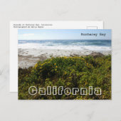 モントレ湾 ポストカード (正面/裏面)