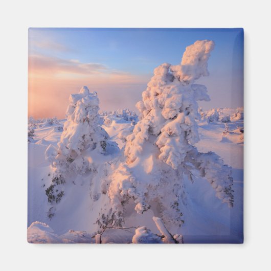 モントローガンサンライズガスページーナショナルパークケベック マグネット (正面)