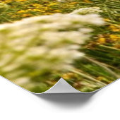 モントローズ・ハーバーの鳥から見たシカゴ ポスター (角)