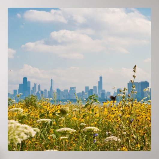 モントローズ・ハーバーの鳥から見たシカゴ ポスター (正面)