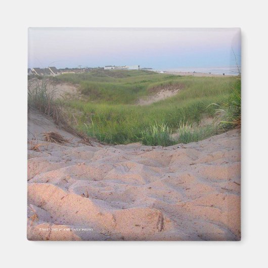 モントークの砂丘 マグネット (正面)