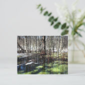 モント王室の ポストカード (スタンド正面)