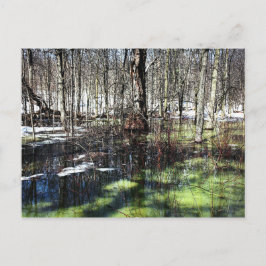 モント王室の ポストカード