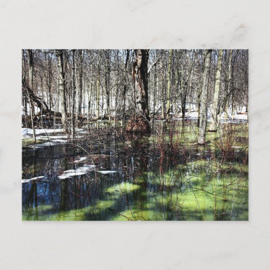 モント王室の ポストカード (正面)