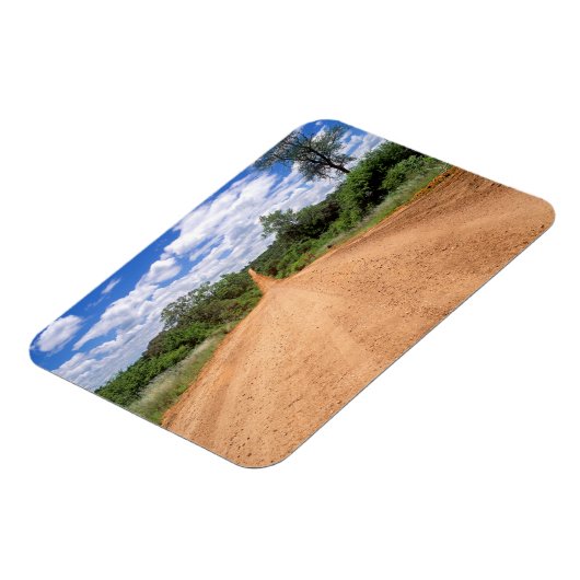 モンパラガ州クルーガー国立公園ダートロード マグネット (左側)