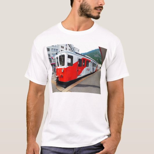モンブラン表現列車 Tシャツ (正面)