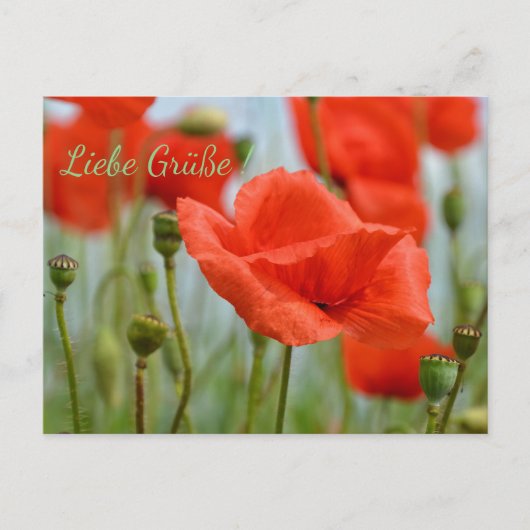 モンブルメン ポストカード (正面)