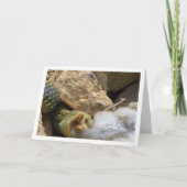 モンペリエスネークフェスティオンラビットカード カード (正面)