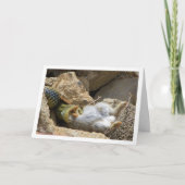 モンペリエスネークフェスティオンラビット カード (正面)