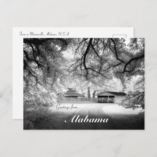 モンローヴィルアラバマUSAデザインからの挨拶 ポストカード (正面/裏面)