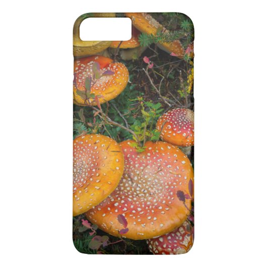 モーウィッチ湖のベニテングタケ Case-Mate iPhoneケース (裏面)