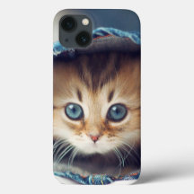 モーカという子猫