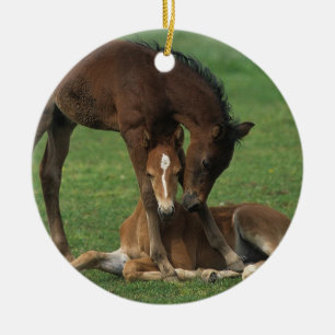モーガンの子馬の遊ぶこと セラミックオーナメント