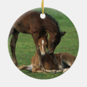 モーガンの子馬の遊ぶこと セラミックオーナメント (裏面)