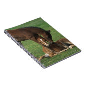 モーガンの子馬の遊ぶこと ノートブック (右側)