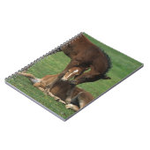 モーガンの子馬の遊ぶこと ノートブック (左側)