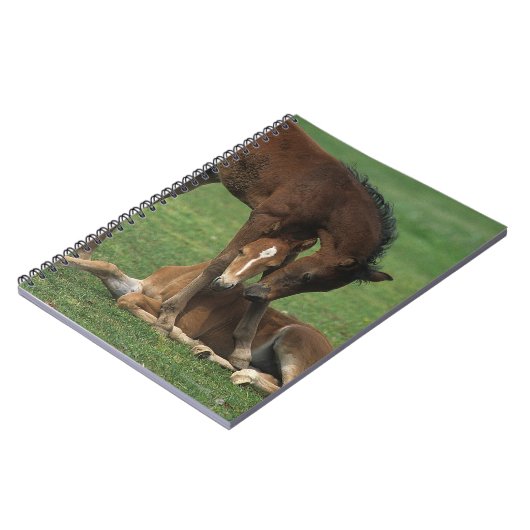 モーガンの子馬の遊ぶこと ノートブック (左側)