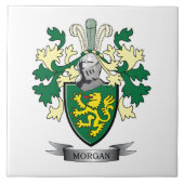 モーガンの家紋の紋章付き外衣 タイル (正面)