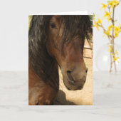 モーガンの馬の美しいカード カード (黄色い花)