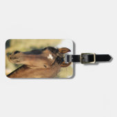 モーガンの馬の荷物のラベル ラゲッジタグ (正面横)