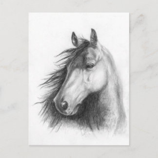 モーガンポートレートのポストカード ポストカード