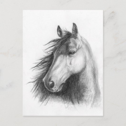 モーガンポートレートのポストカード ポストカード (正面)