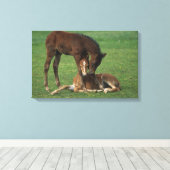 モーガン・フォル遊ズの キャンバスプリント (インサイチュ (ウッドフロア))