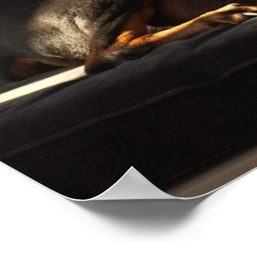 モーガン ポスター (角)