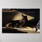 モーガン ポスター (正面)