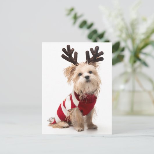 モーキーはクリスマスの〔雄ジカの〕枝角で犬を育てる シーズンポストカード (スタンド正面)