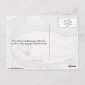 モーザー・コロマンによるグロットインの金星 ポストカード (裏面)