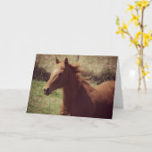 モーションすべての行事のスコッチ カード (黄色い花)