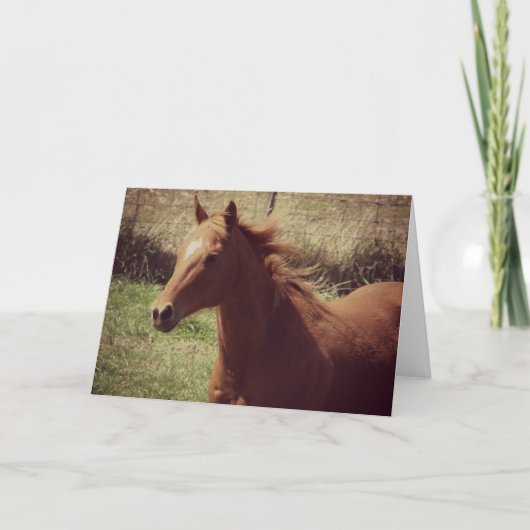 モーションすべての行事のスコッチ カード (正面)