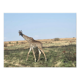 モーションの優雅さ - アフリカのキリン写真プリント フォトプリント