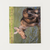 モース食べ物を与えズのモンタナ氷河の国立公園 タペストリー (正面)