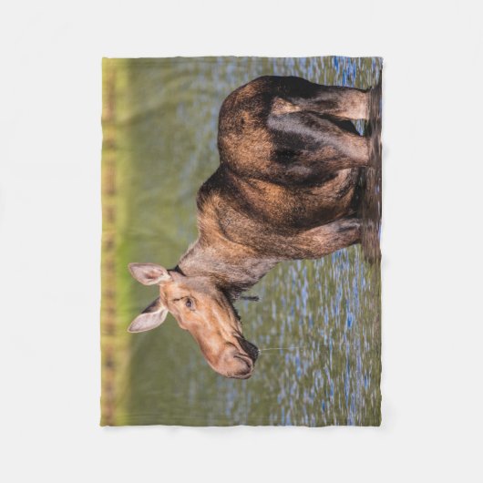 モース食べ物を与えズのモンタナ氷河の国立公園 フリースブランケット (正面)