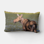 モース食べ物を与えズのモンタナ氷河の国立公園 ランバークッション (裏面)