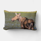 モース食べ物を与えズのモンタナ氷河の国立公園 ランバークッション (正面)