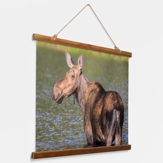 モース食べ物を与えズのモンタナ氷河の国立公園 吊り下げ型タペストリー (傾斜あり)