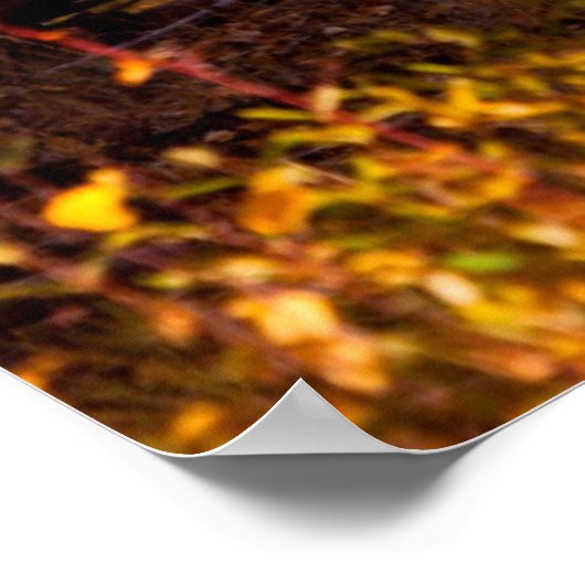 モース(アルケス・アルケス)黄金の柳の牛2 ポスター (角)