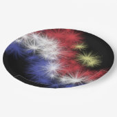 モーズ花火紙プレート ペーパープレート (アングル)