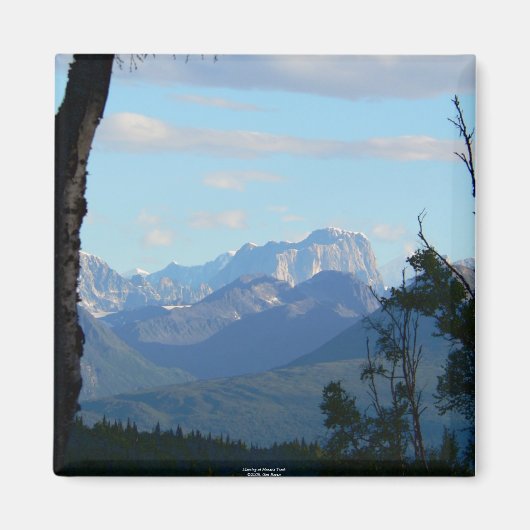 モーセの歯の磁石で朝 マグネット (正面)